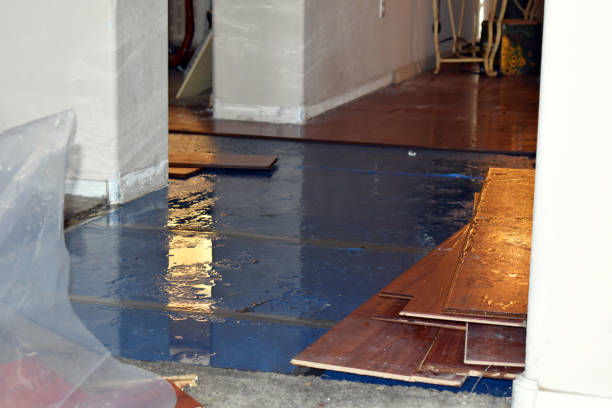 Professional Water Damage technician working in Essexville, MI